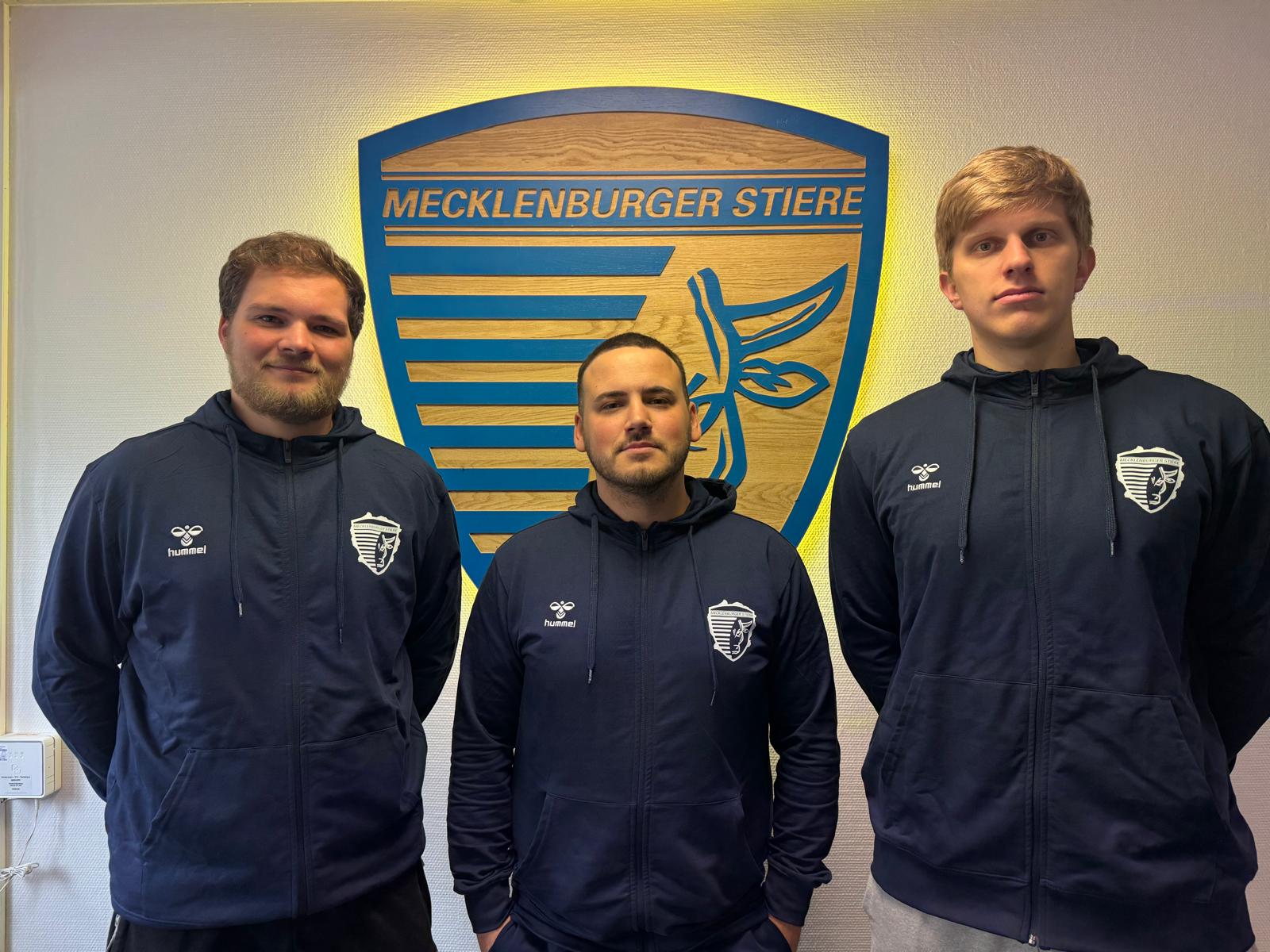 Drei Trainer arbeiten hauptamtlich bei den Handballstieren.